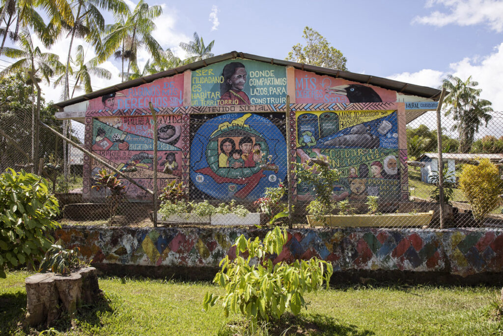 Fragile Amazon - Project by Ana Palacios Visual Journalist