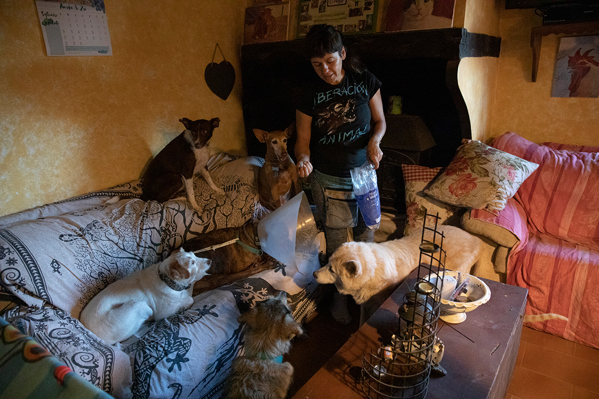 Sanctuaria - Wild Love - Project by Ana Palacios Visual Journalist