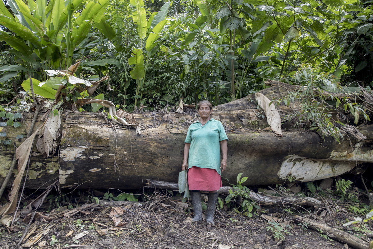 Fragile Amazon - Project by Ana Palacios Visual Journalist
