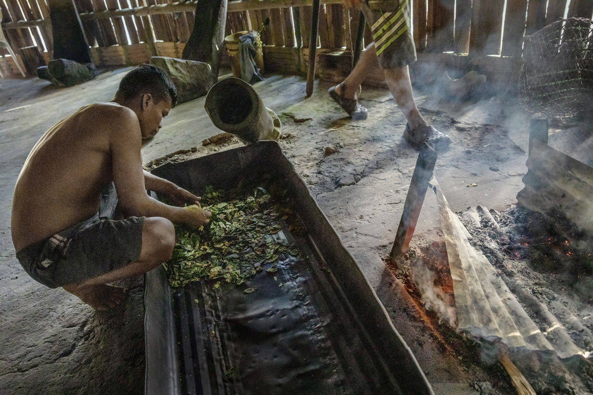 Fragile Amazon - Project by Ana Palacios Visual Journalist