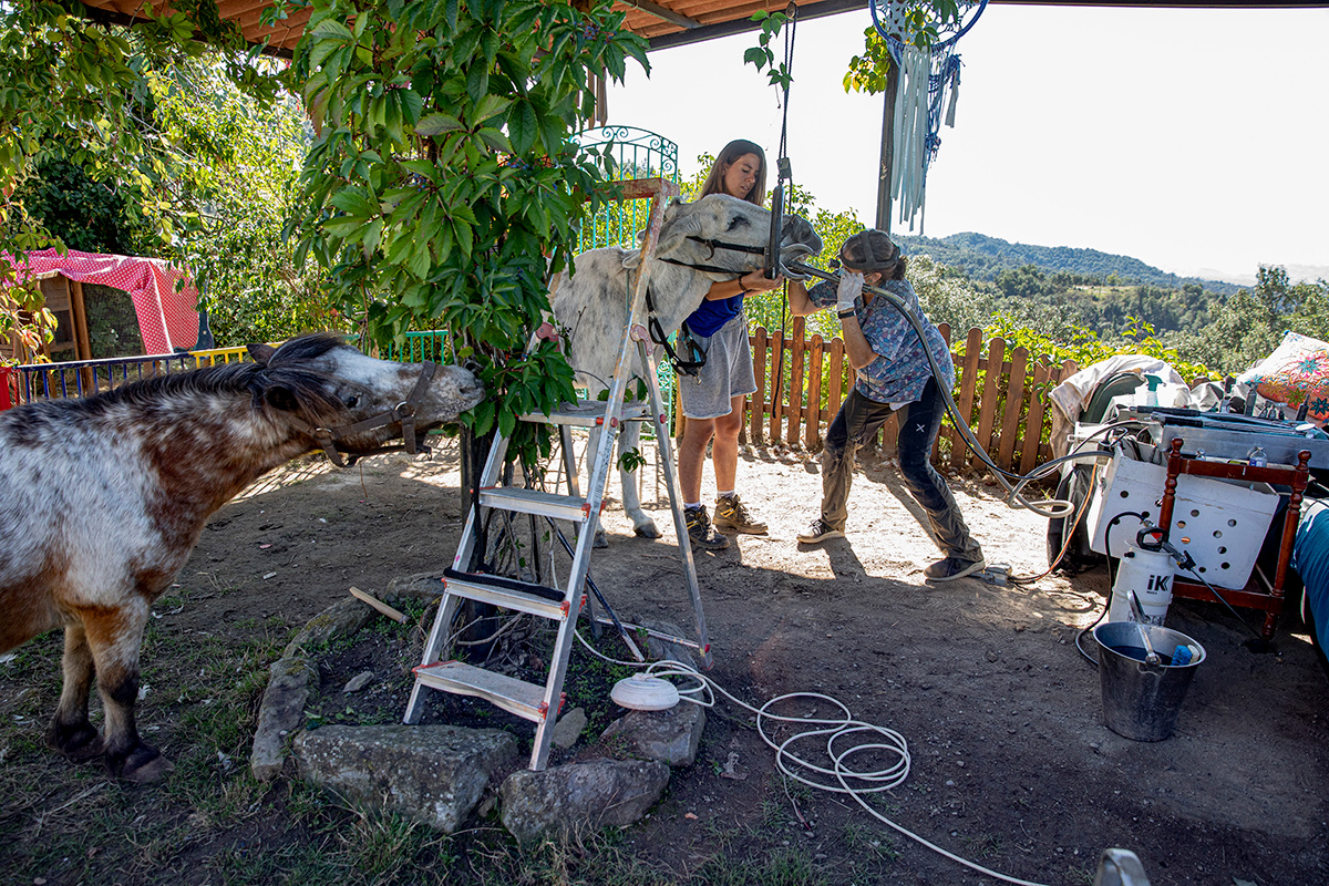 Sanctuaria - Wild Love - Project by Ana Palacios Visual Journalist
