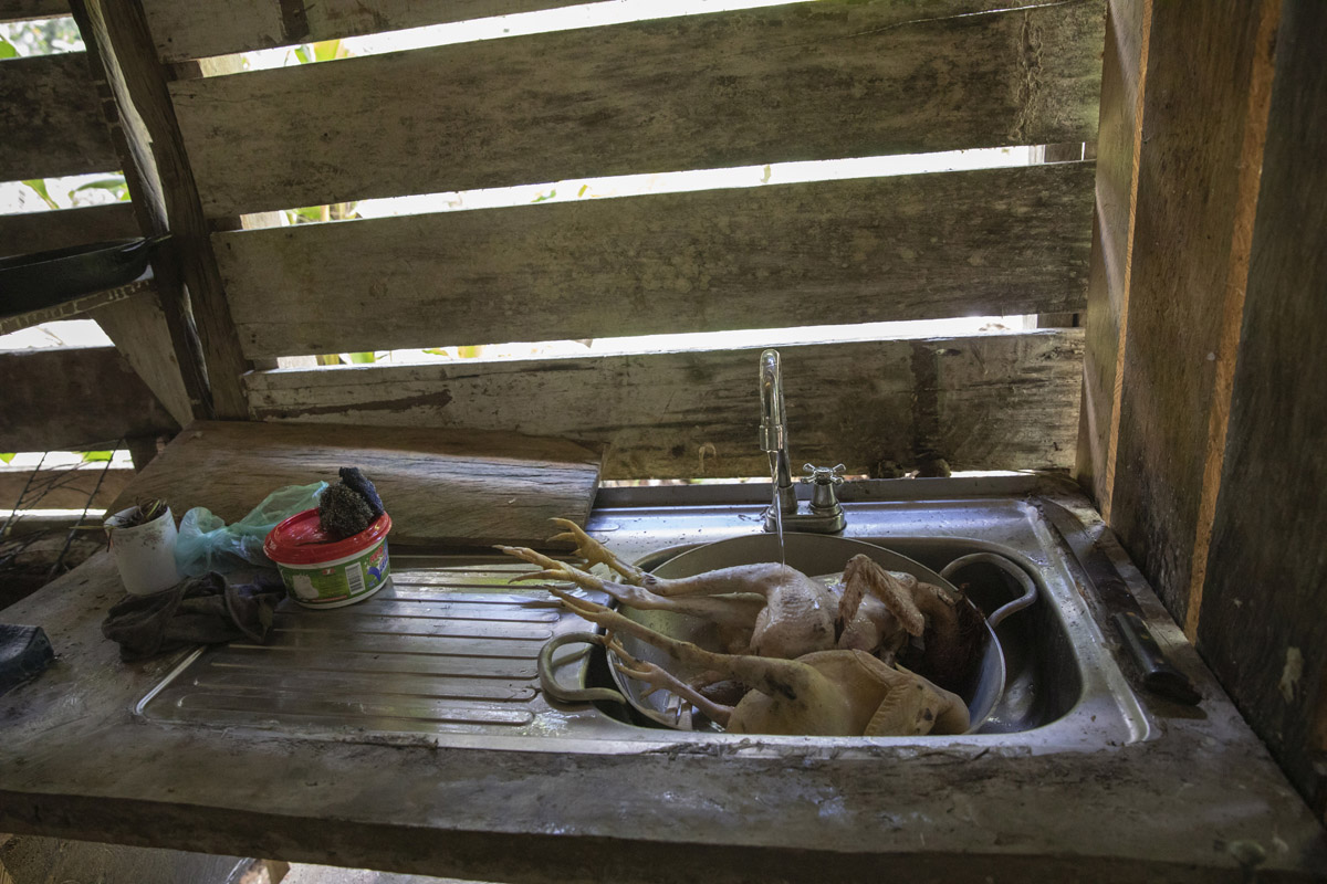 Fragile Amazon - Project by Ana Palacios Visual Journalist