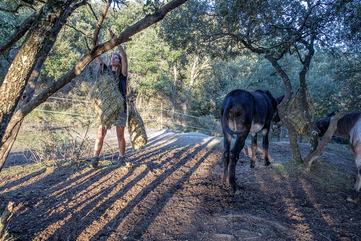 Sanctuaria - Wild Love - Project by Ana Palacios Visual Journalist