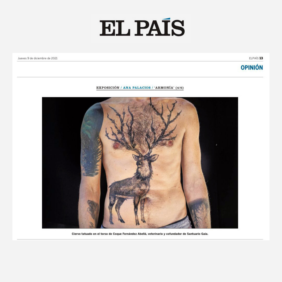 El País Tearsheet - Ana Palacios Visual Journalist