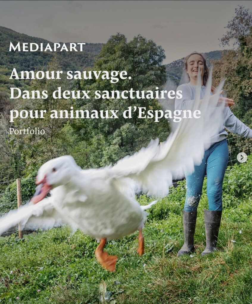 Mediapart Tearsheet - Ana Palacios Visual Journalist