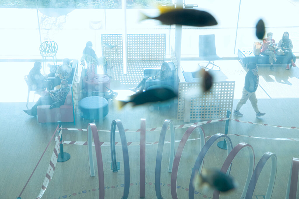 Soul Music - Project by Ana Palacios Visual Journalist