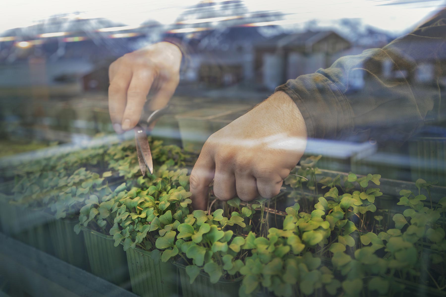 Laboratoria, Norway chapter - Project by Ana Palacios Visual Journalist