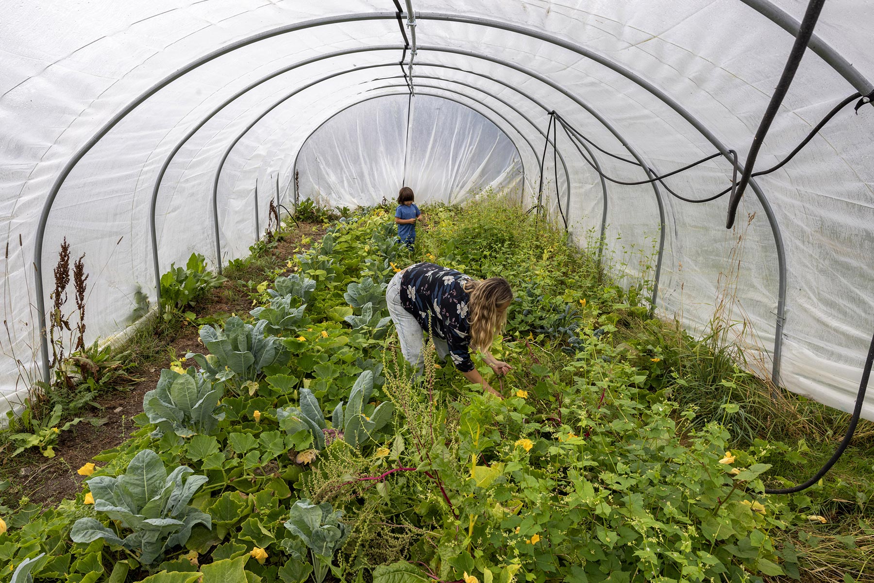 Laboratoria, Norway chapter - Project by Ana Palacios Visual Journalist