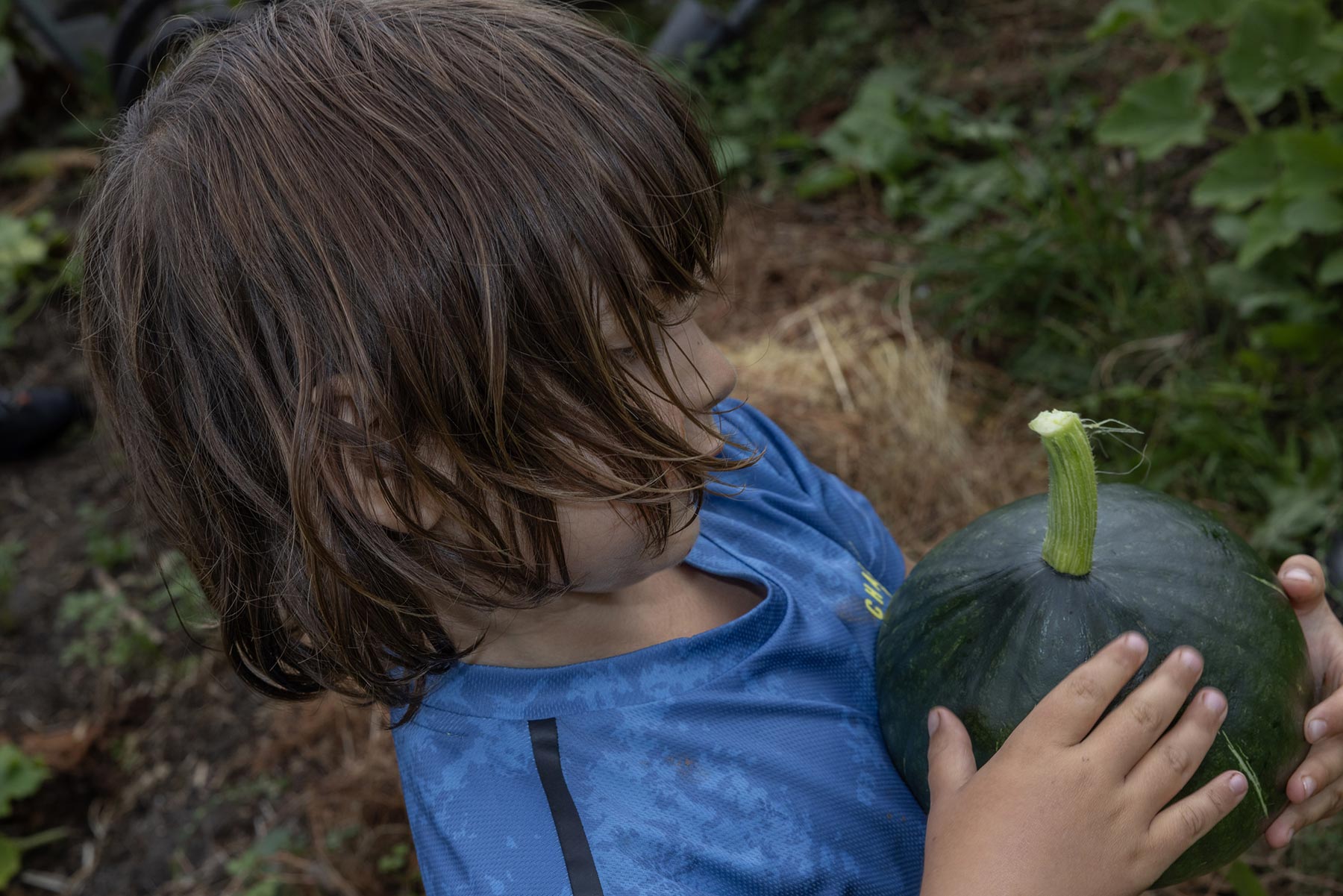 Laboratoria, Norway chapter - Project by Ana Palacios Visual Journalist