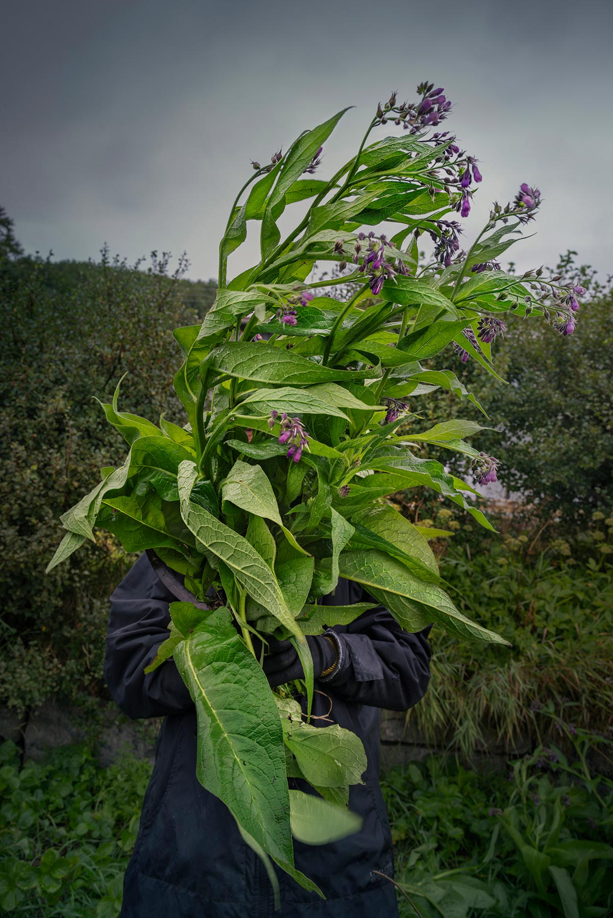 Laboratoria, Norway chapter - Project by Ana Palacios Visual Journalist