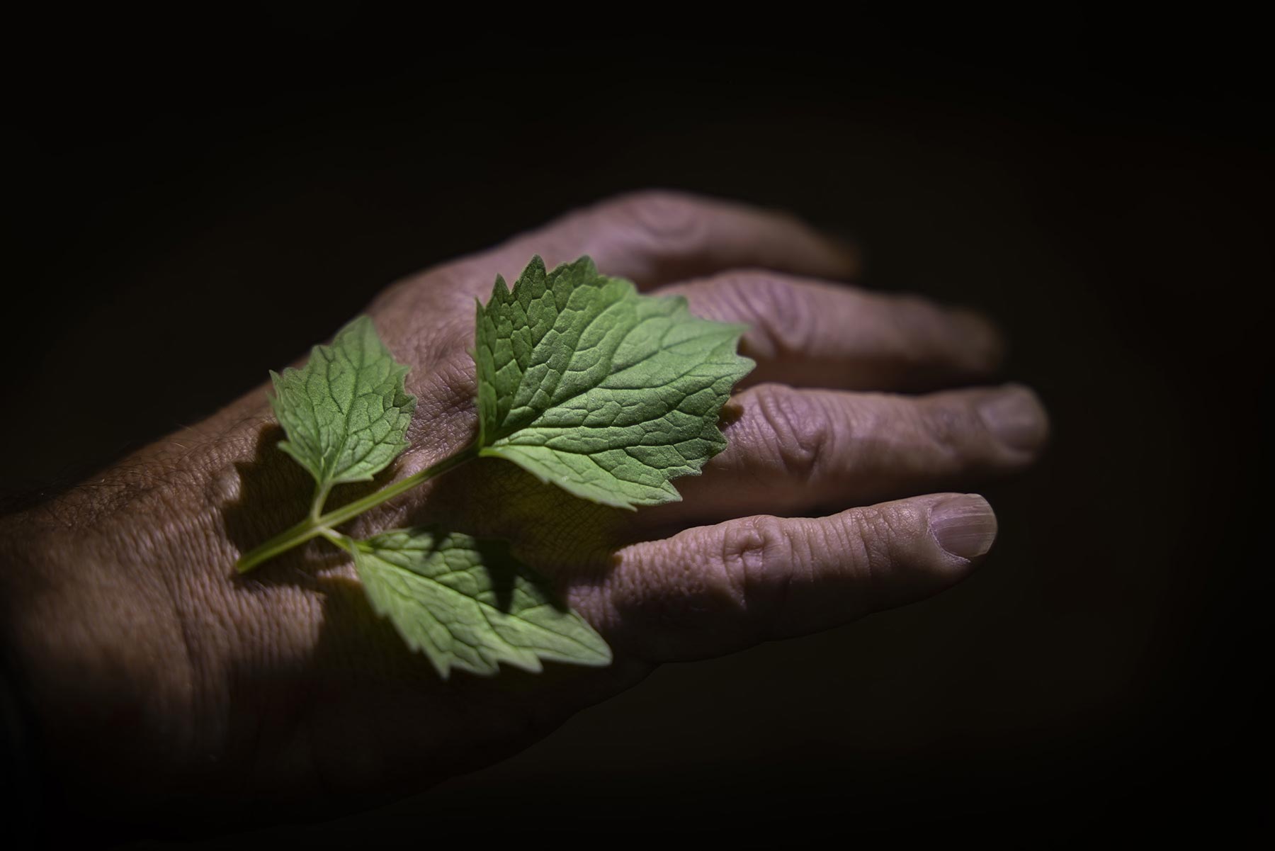 Laboratoria, Norway chapter - Project by Ana Palacios Visual Journalist